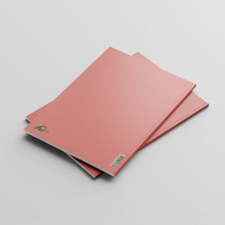 Grand carnet ÉCRISTOIRES Déambulant doucement