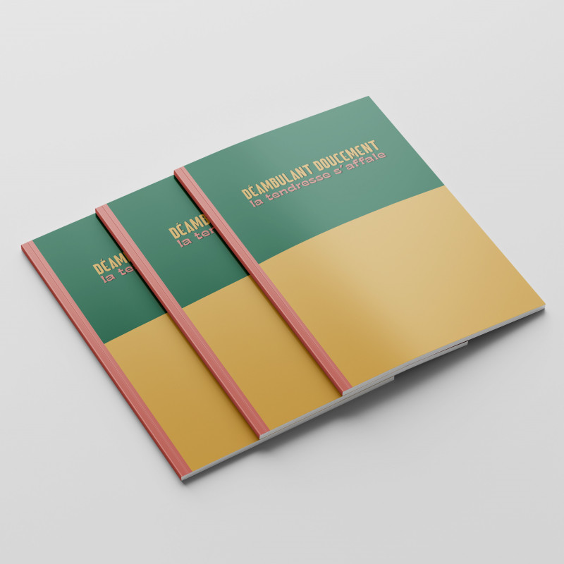 Grand carnet ÉCRISTOIRES Déambulant doucement