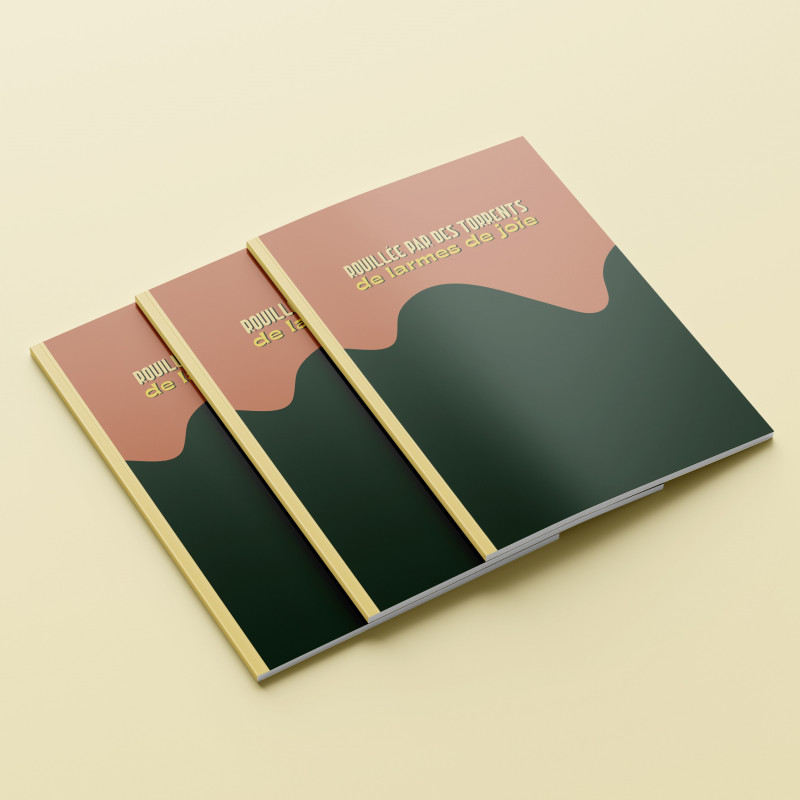 Grand carnet ÉCRISTOIRES Rouillée par des torrents