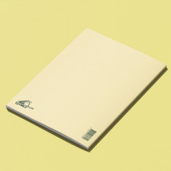 Petit carnet ÉCRISTOIRES Rouillée par des torrents