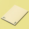 Petit carnet ÉCRISTOIRES Rouillée par des torrents