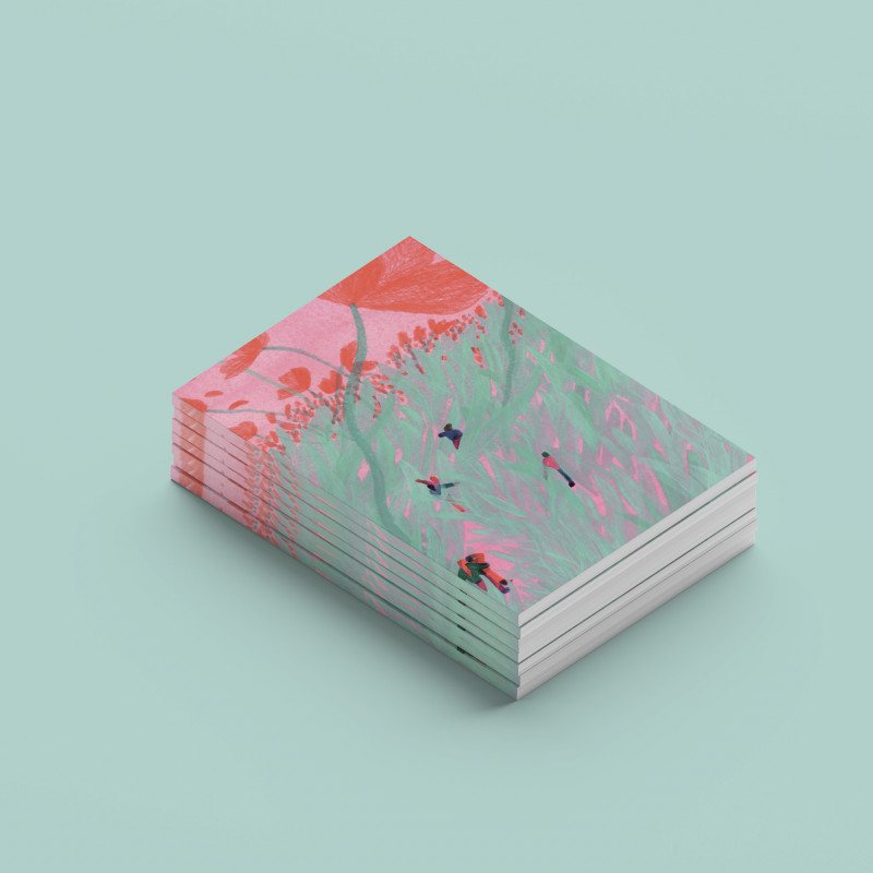 Petit carnet FORMATS Lucie Roullier